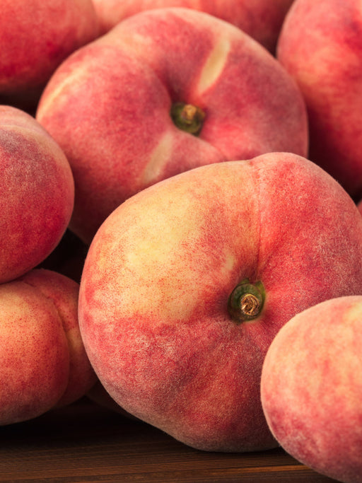Galaxy Peach - Raintree Nursery