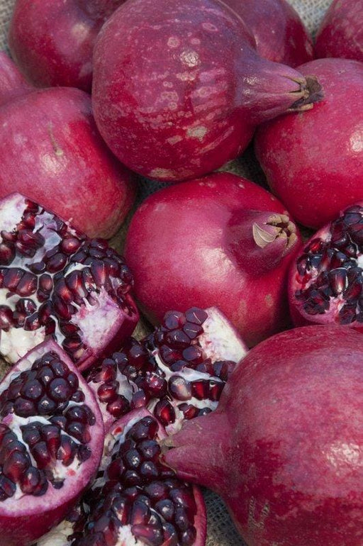 Parfianka Pomegranate - Raintree Nursery