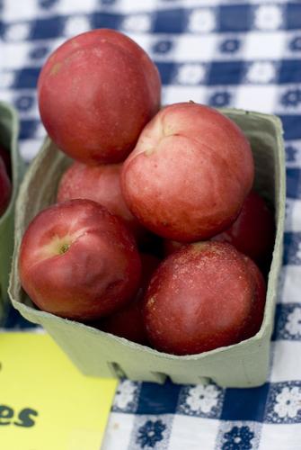 Raspberry Red Nectarine - Raintree Nursery