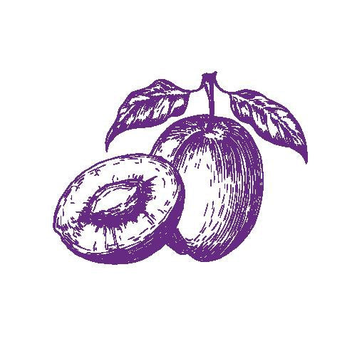 Plum Trees