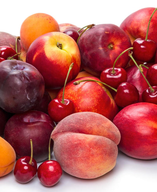 Fruit Cocktail (4 Varieties) - Raintree Nursery