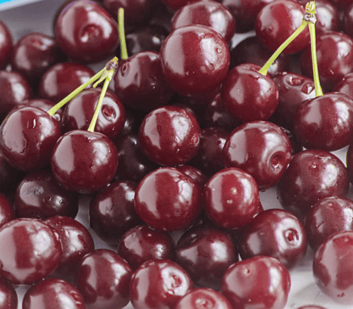 Angela® Cherry-Fruit Trees-Biringer-Dwarf (4'-5')-