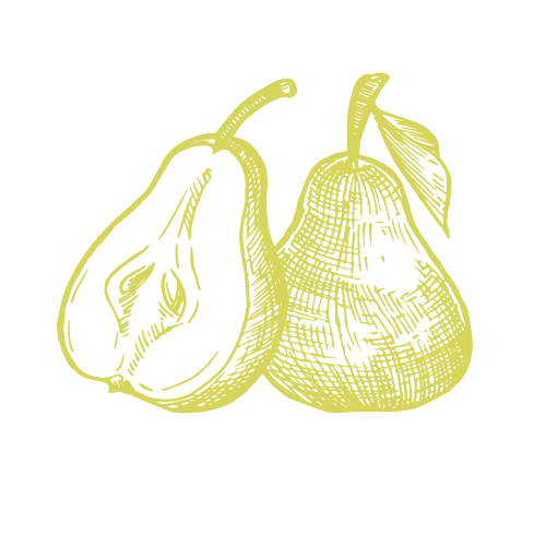 European Pear Trees